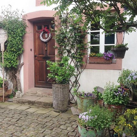 All Seasons Bed & Breakfast Kerpen  Экстерьер фото